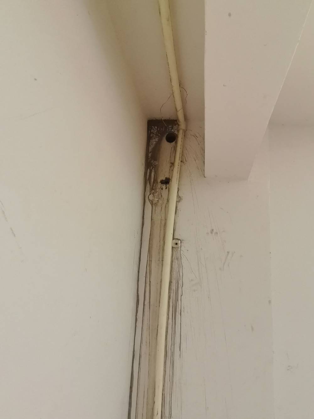 第九园 别墅4*-2 施工照片