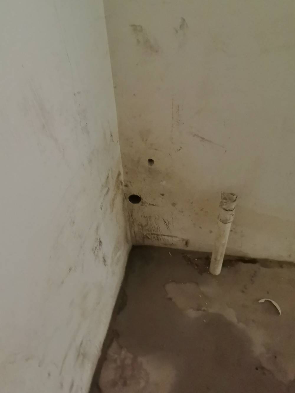 第九园 别墅4*-2 施工照片