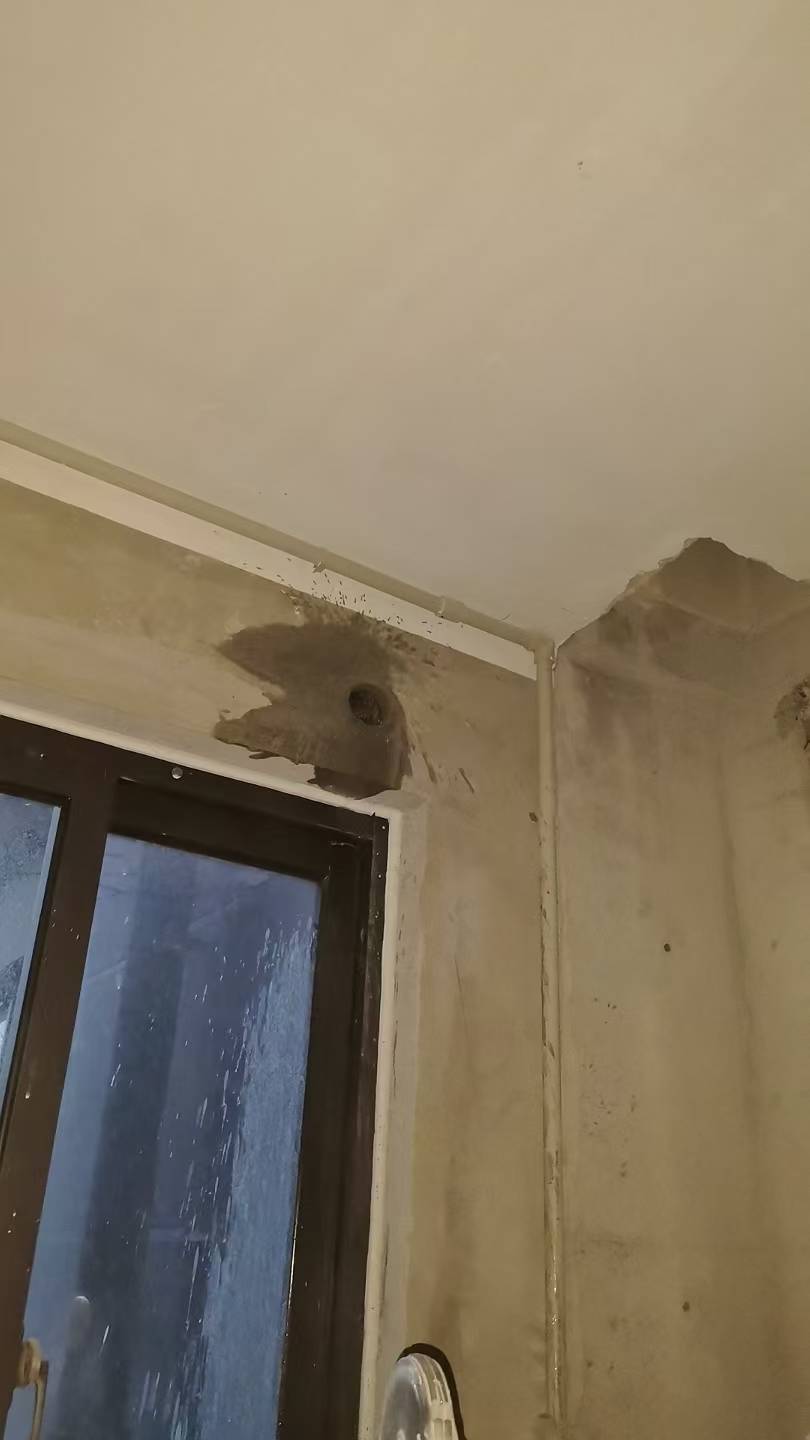 红星嘉苑 @ 10-104